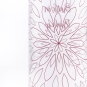 morepic-5